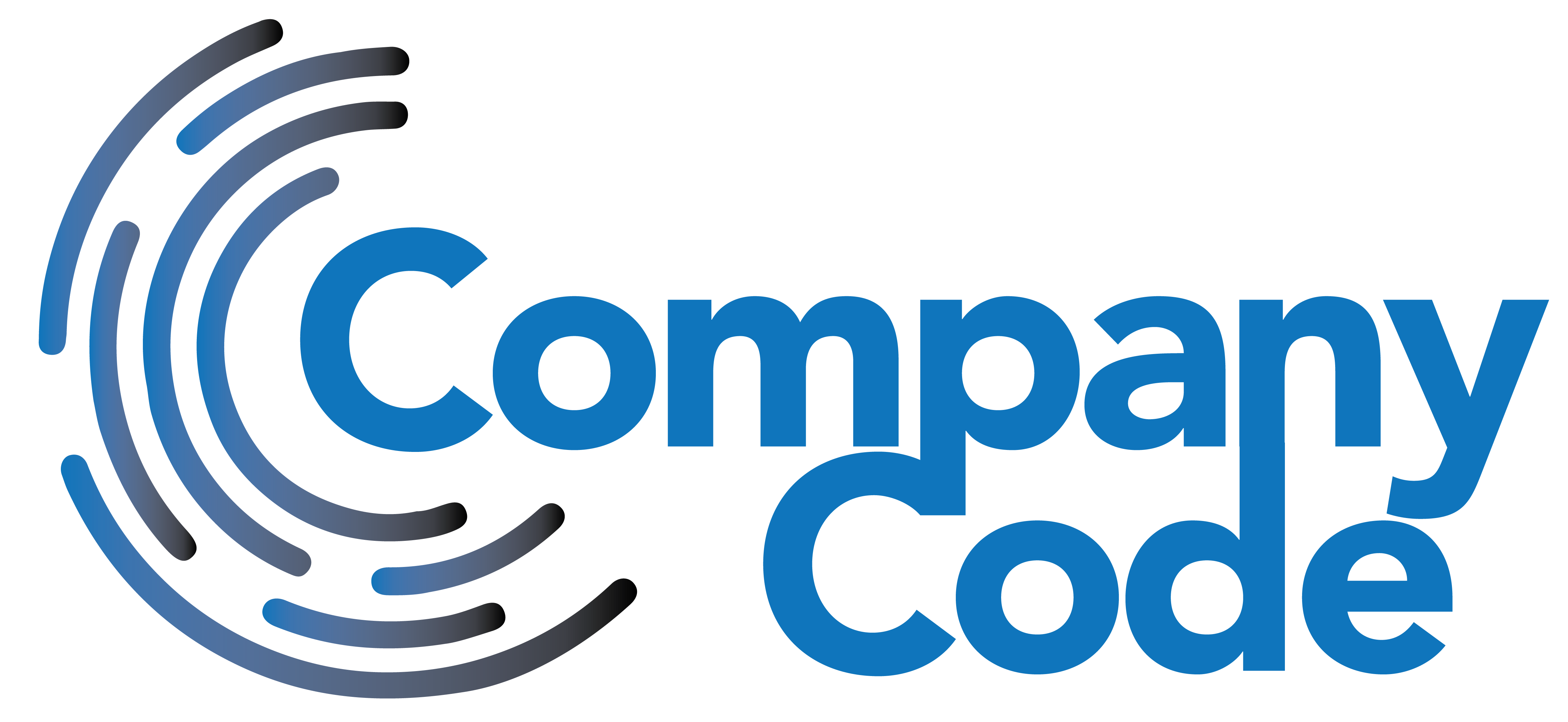 Company Code Business Coaching & Interim Management